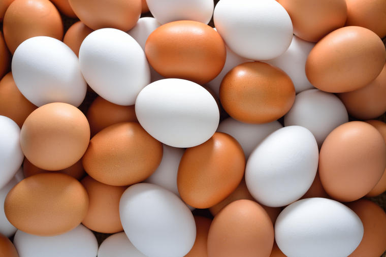 Koja je razlika između belih i smeđih jaja: Genetičar konačno razrešio dilemu!