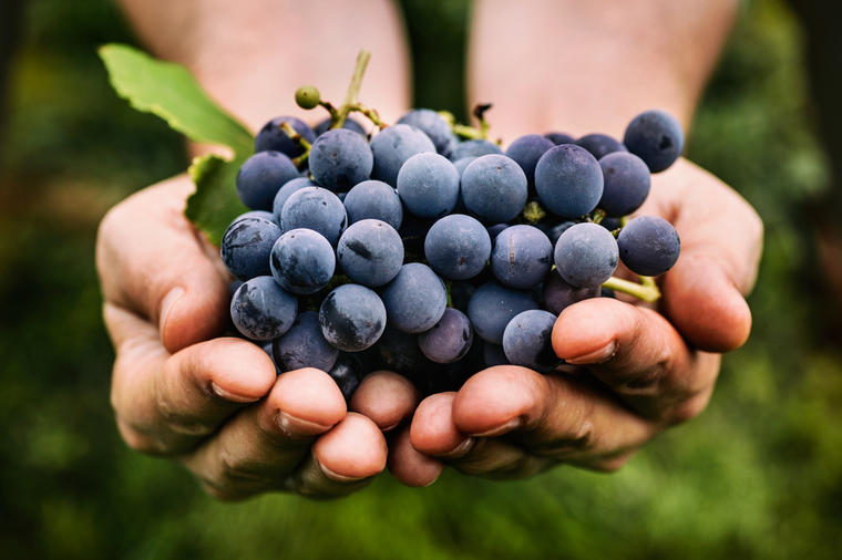 U njemu su i lepota i zdravlje: Ovo voće će učiniti čuda za organizam, a vaša koža i kosa će procvetati! (RECEPTI)