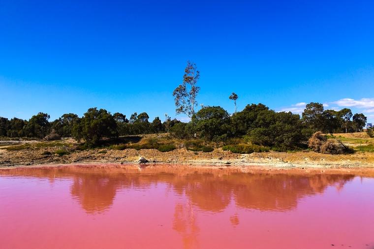 Ružičasto jezero Pačir leči reumatizam i kožne bolesti: Ovo mesto je raj na zemlji! (FOTO)