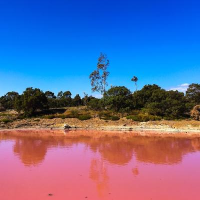 Ružičasto jezero Pačir leči reumatizam i kožne bolesti: Ovo mesto je raj na zemlji! (FOTO)