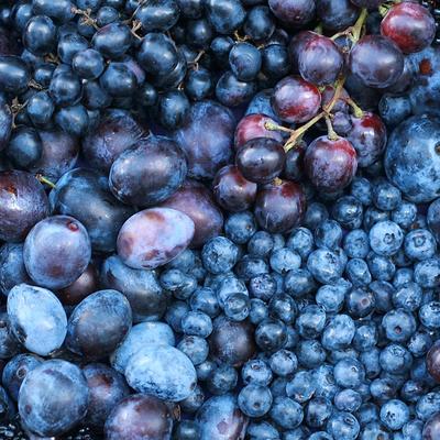 Ovog leta jedite što više plavog voća: Evo zašto!