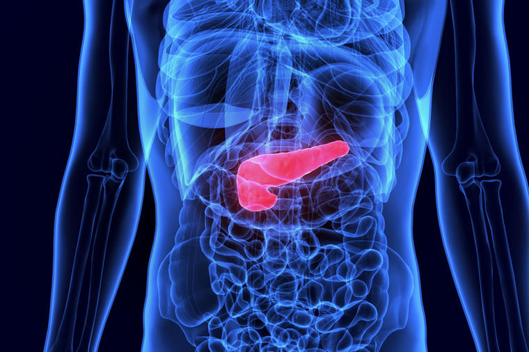 Kako boli pankreas: 4 narodna leka koja uklanjaju probleme sa gušteračom! (RECEPT)