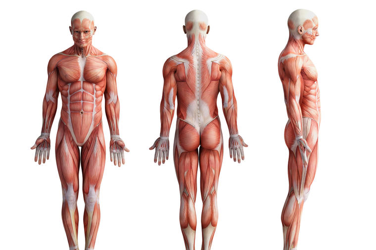 Kratak test: Otkrijte šta nedostaje vašem telu, koja bolest vreba i sasecite je u korenu!