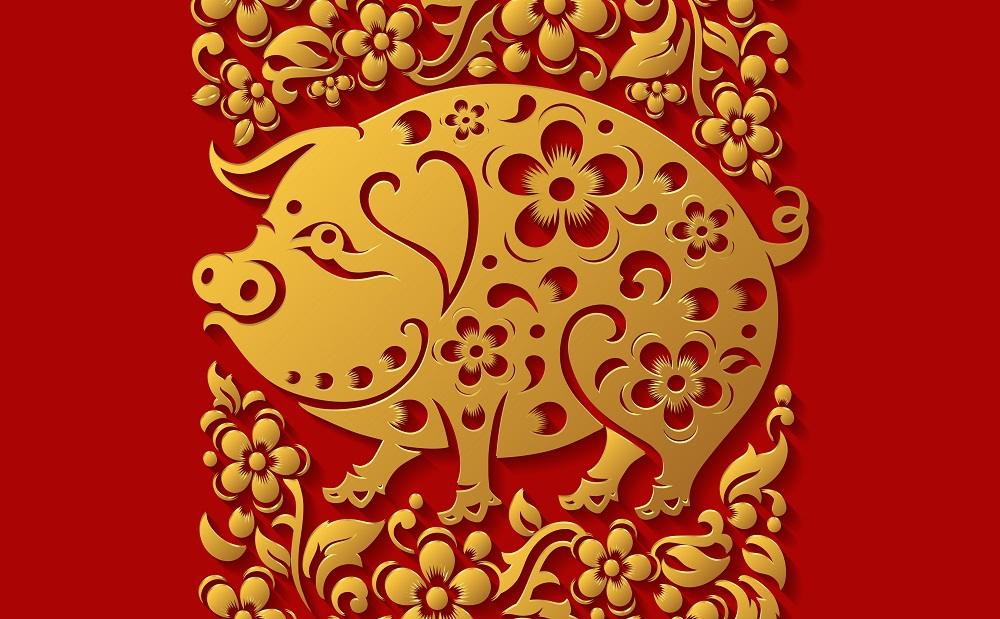 Kineski horoskop, Svinja
