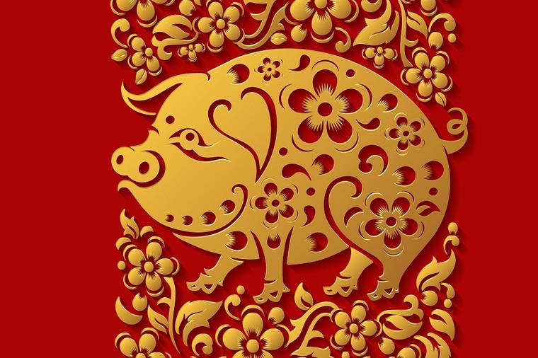 Kineski godišnji horoskop za 2021. godinu - Svinja