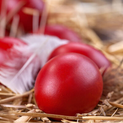 ŠTA SE RADI SA ČUVARKUĆOM OD PROŠLE GODINE? Prvo crveno jaje se nikada ne baca, a evo šta nalažu stari običaji
