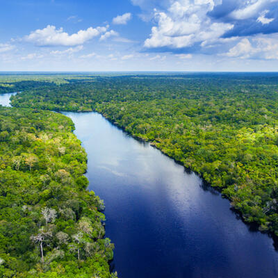 PLUĆA SVETA POLAKO OTKAZUJU: Umesto proizvođača kiseonika, Amazonija se pretvara u izvor ugljen dioksida
