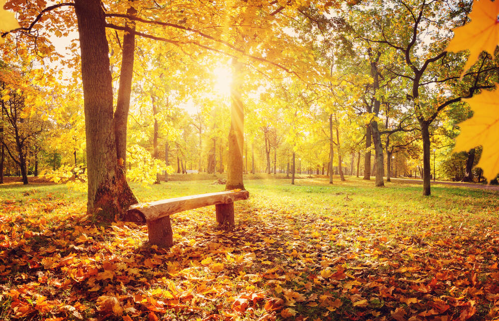 Jesen, Sunce, Lišće
