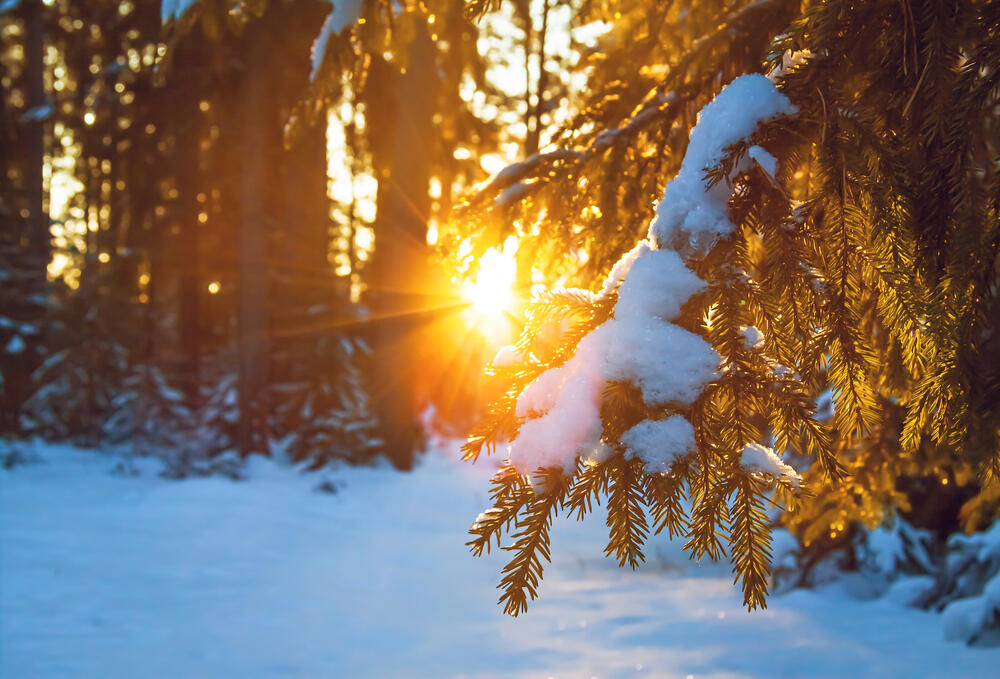 Zima, Sunce, Sneg