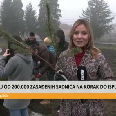 Na korak do ispunjenja cilja od 200.000 sadnica: Kreću iz Kraljeva ka školama širom Srbije