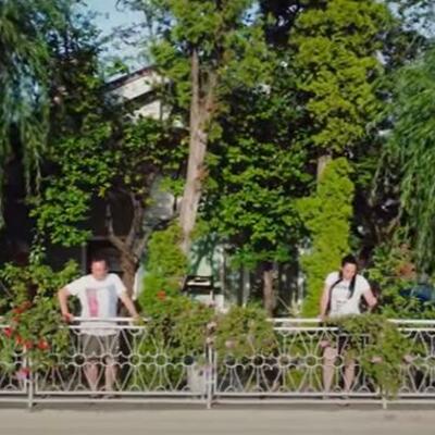 JEDINSTVENI SLUČAJ U CELOJ SRBIJI: Bračni par iz Pirota napravio prelep park na KROVU KUĆE, prizor nestvaran! (VIDEO)