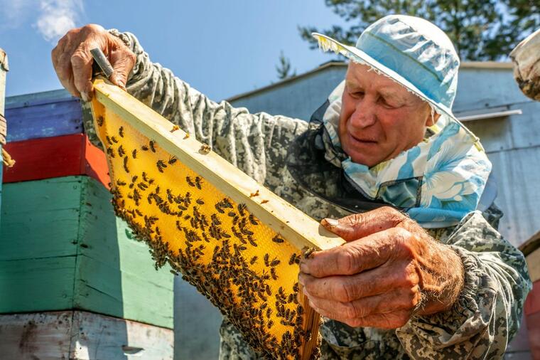 AKO VAS UJEDE BILO KOJI INSEKT - OVAJ LEK JE SPAS: Savet starog pčelara morate da zapišete!