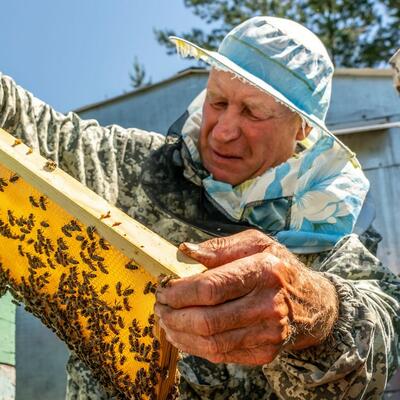 AKO VAS UJEDE BILO KOJI INSEKT - OVAJ LEK JE SPAS: Savet starog pčelara morate da zapišete!