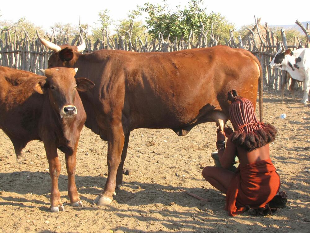 Pleme Himba