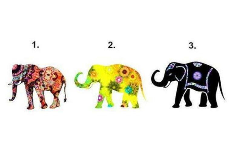 TEST STANJA DUŠE: Izaberite jednog slona i saznajte šta vas KOČI da ostvarite pun potencijal u novcu i ljubavi