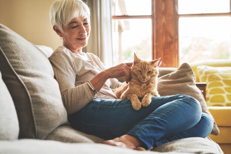 Mačka je pravi melem za bolesnog čoveka: Evo 7 stvari oko kojih ovaj kućni ljubimac može da vam pomogne