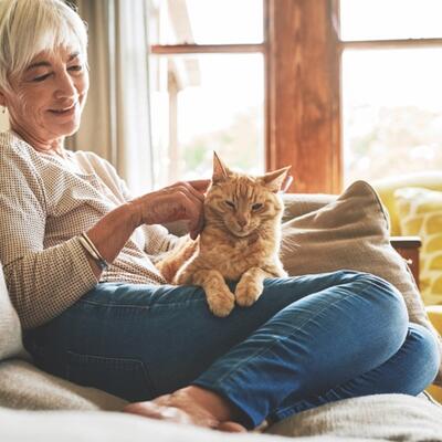 Mačka je pravi melem za bolesnog čoveka: Evo 7 stvari oko kojih ovaj kućni ljubimac može da vam pomogne