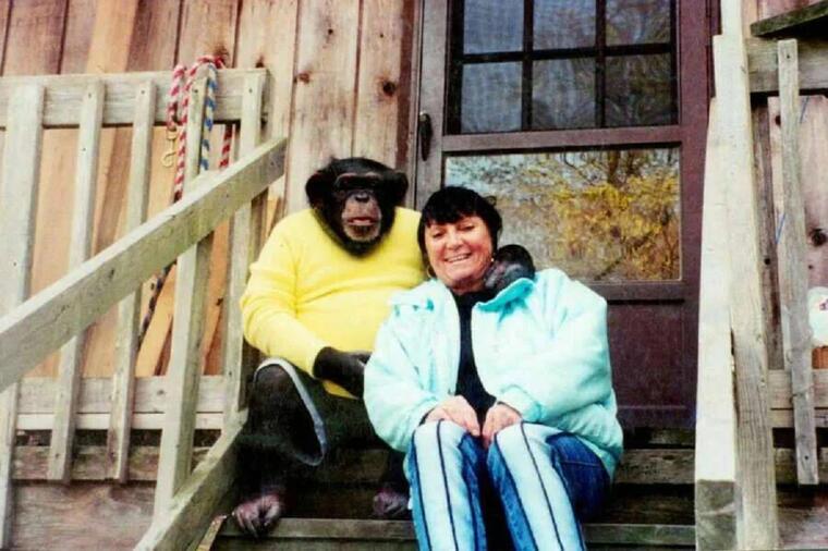 Sandra se godinama kupala i spavala sa šimpanzom ne sluteći šta će je snaći: Od užasa se ni danas nije oporavila