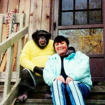 Sandra se godinama kupala i spavala sa šimpanzom ne sluteći šta će je snaći: Od užasa se ni danas nije oporavila