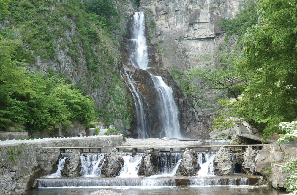 Snežana Radojičić, Severna Koreja