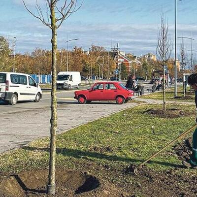 Novi Sad bogatiji za 31 lipu: Sadnja u okviru projekta „Zasadi drvo“ doprinosi urbanoj ekologiji