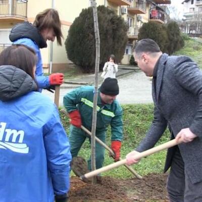 "VELIKE BRIGA VRNJAČKE BANJE ZA ZAŠTITU ŽIVOTNE SREDINE" Akcija Zasadi drvo i japanska trešnja - Zelenilo za bolje sutra