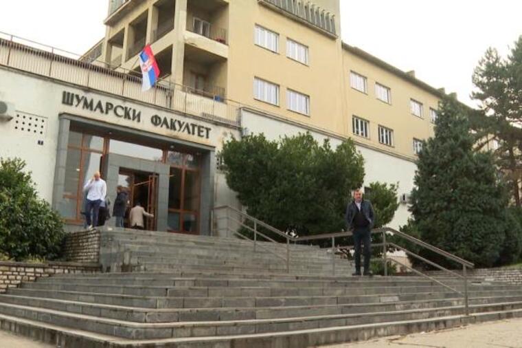 Akcija "Zasadi drvo": Šumarski fakultet u Beogradu se bori za očuvanje prirodnih resursa