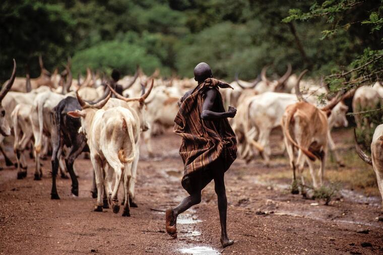 Kako žive najviši ljudi u Africi: Vode ljubav na šok način, a žene ni u ludilu ne smeju da urade jednu stvar