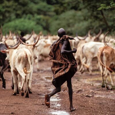 Kako žive najviši ljudi u Africi: Vode ljubav na šok način, a žene ni u ludilu ne smeju da urade jednu stvar