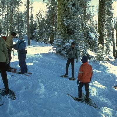 Tinejdžerka otišla s ocem u Nacionalni park i nikad se nije vratila: Misteriozno je nestala, a jedna stvar budi sumnju